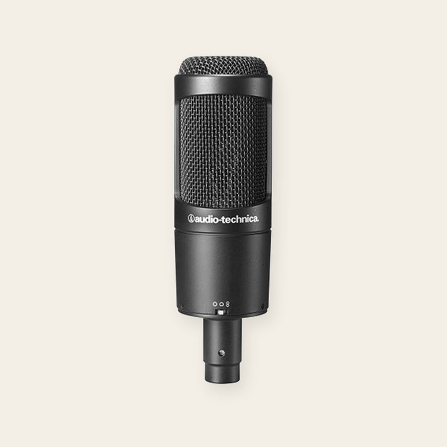 Audio-Technica AT2050 studio condenser microphone